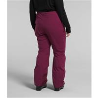 The North Face Women’s Plus Freedom Stretch Pants - Boysenberry